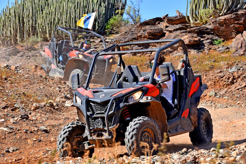 Las Palmas: Gran Canaria Guided Buggy Tour - View Stops That Actually Break Up the Bouncing