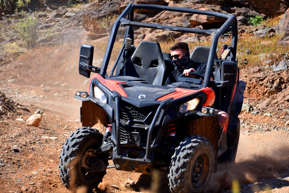 Las Palmas: Gran Canaria Guided Buggy Tour - Who Should Book This Buggy Tour—and Who Should Skip It
