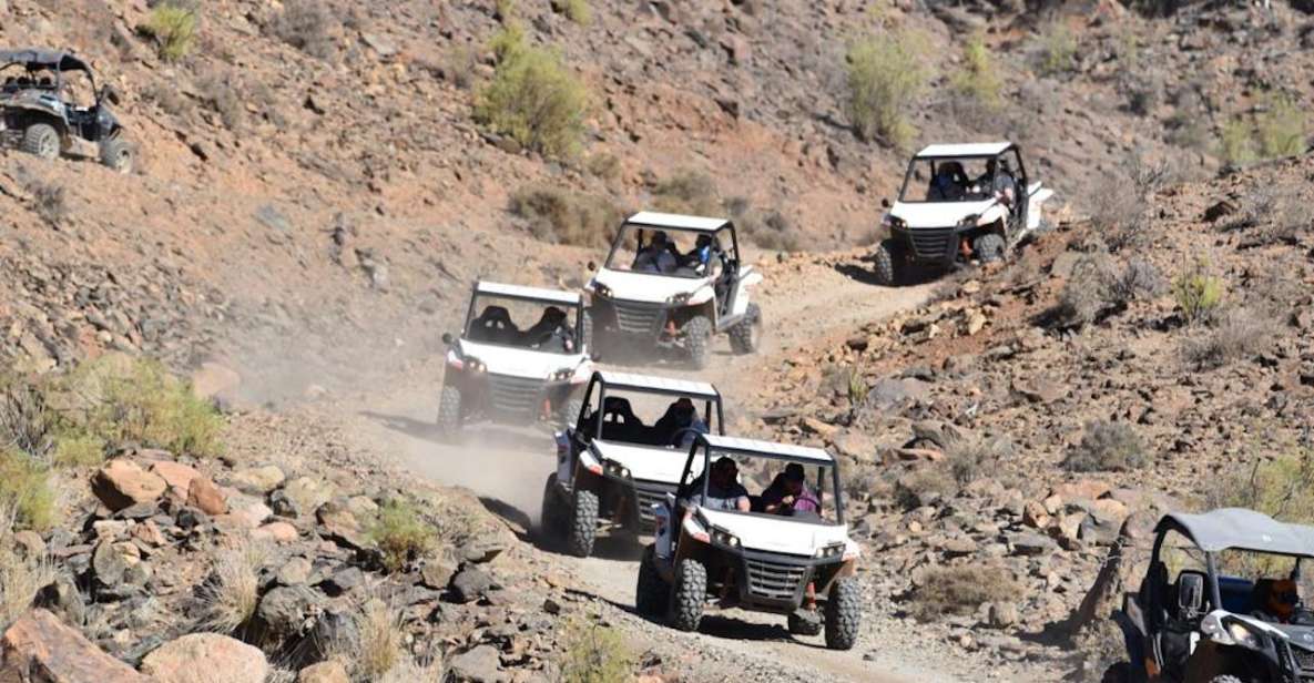 Las Palmas: Gran Canaria Guided Buggy Tour - Driver vs Passenger: The Rules You Should Not Wing