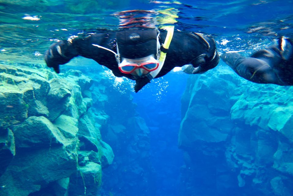 Las Palmas: Las Canteras Beach Snorkeling Trip - Value check: is $46 a good deal?