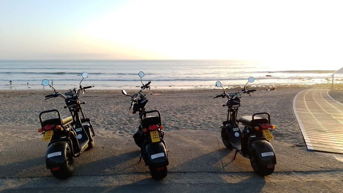 Maspalomas: 2-Seater Chopper E-Scooter Rental - Charca (Oasis of Maspalomas): Birdlife Without the Rush