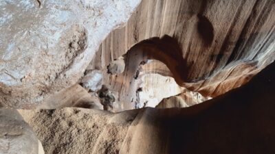 Maspalomas: Barranco de las Vacas, Caves, Farmhouse Tour - The Secret Cave Stop: What You’ll Learn Underground