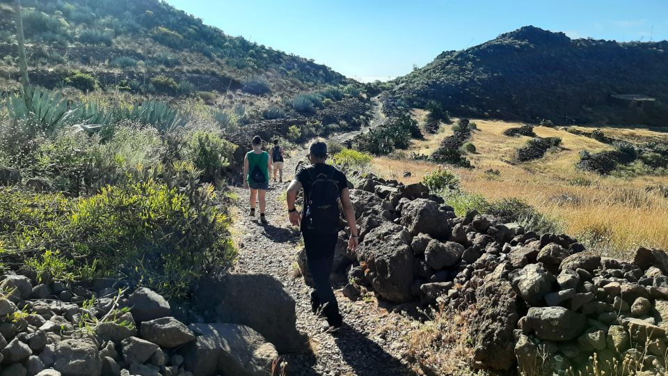 Maspalomas: Barranco de las Vacas, Caves, Farmhouse Tour - FAQ