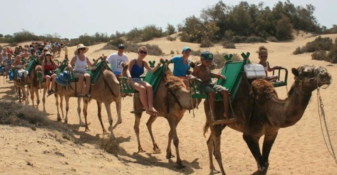 Maspalomas: Guided Camel Ride in the Maspalomas Sand Dunes - Quick Camel-Ride Breakdown (What Makes It Work)