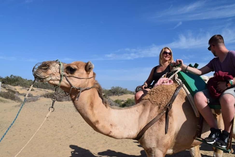 Maspalomas: Guided Camel Ride in the Maspalomas Sand Dunes - The Dune Ride Itself: What 30 Minutes Feels Like