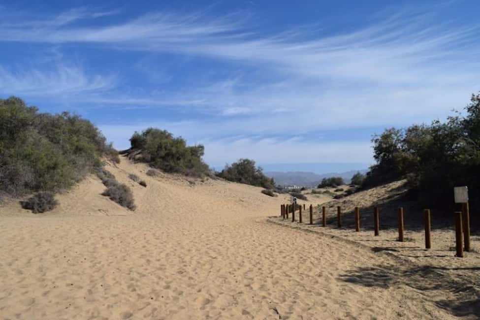 Maspalomas: Guided Camel Ride in the Maspalomas Sand Dunes - Who Should Book This (And Who Should Skip It)