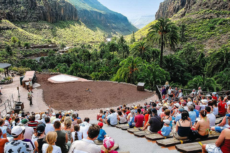 Maspalomas: Palmitos Park Ticket with Dolphin and Bird Shows - Butterfly house, aquarium, and botanical areas: why the park feels bigger