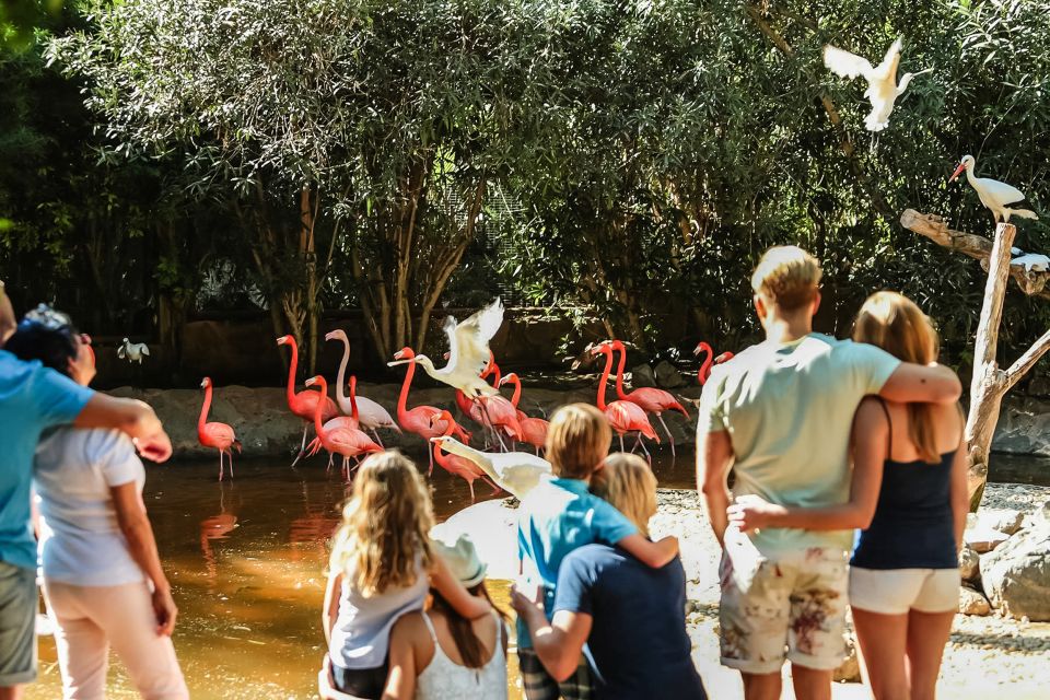 Maspalomas: Palmitos Park Ticket with Dolphin and Bird Shows - Food and spending inside Palmitos Park: budget like a local
