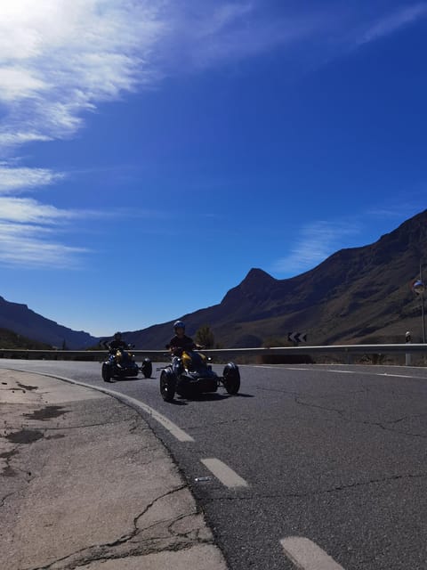 Maspalomas: Ryker Moto Tour to Fataga (Mountain buggy) - Aloe Vera plantation stop: simple, short, and part of the local mix