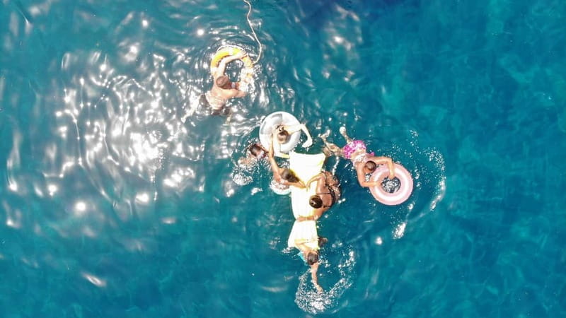 Mogan: Dolphin Watching Boat Trip with Swim Stop - Key things that make this dolphin trip work