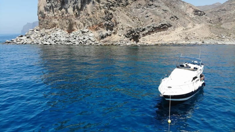 Mogan: Dolphin Watching Boat Trip with Swim Stop - Puerto de Mogán: your launchpad for Gran Canaria’s south-west coast