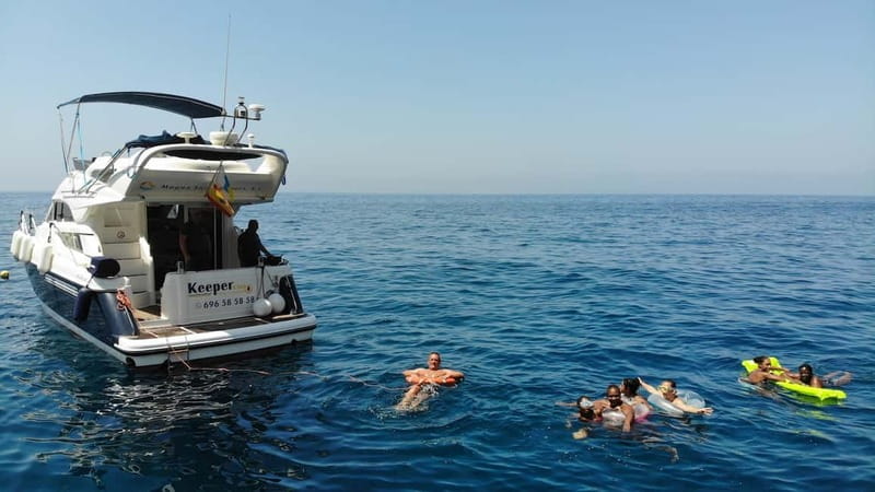 Mogan: Dolphin Watching Boat Trip with Swim Stop - How the dolphin hunt is set up (and what species you might see)