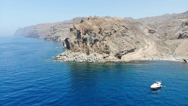 Mogan: Dolphin Watching Boat Trip with Swim Stop - Who should book this dolphin boat trip?