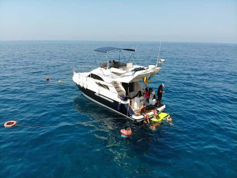 Mogan: Dolphin Watching Boat Trip with Swim Stop - The KEEPER UNO yacht: small group comfort with real included value