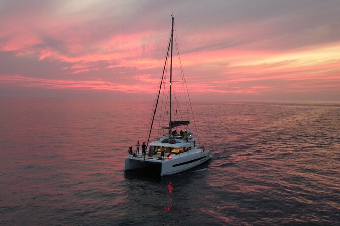 Morning cruise - Key things to know before you go
