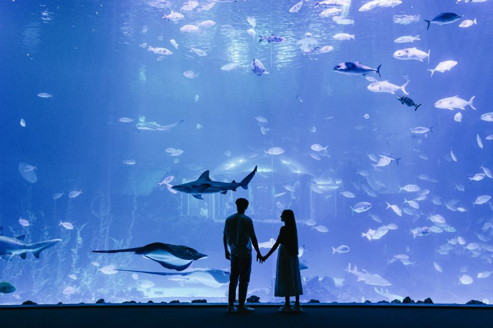 Poema del Mar Skip-the-Line Ticket - Poema del Mar in Gran Canaria: what makes this aquarium special