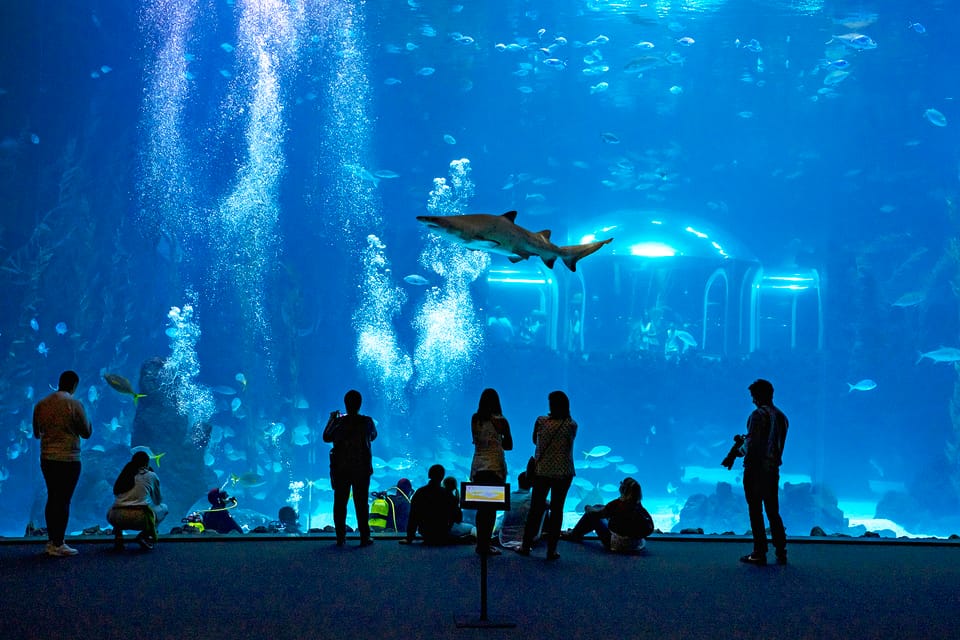 Poema del Mar Skip-the-Line Ticket - Arrecife’s 400,000-liter cylinder: walk around the tank