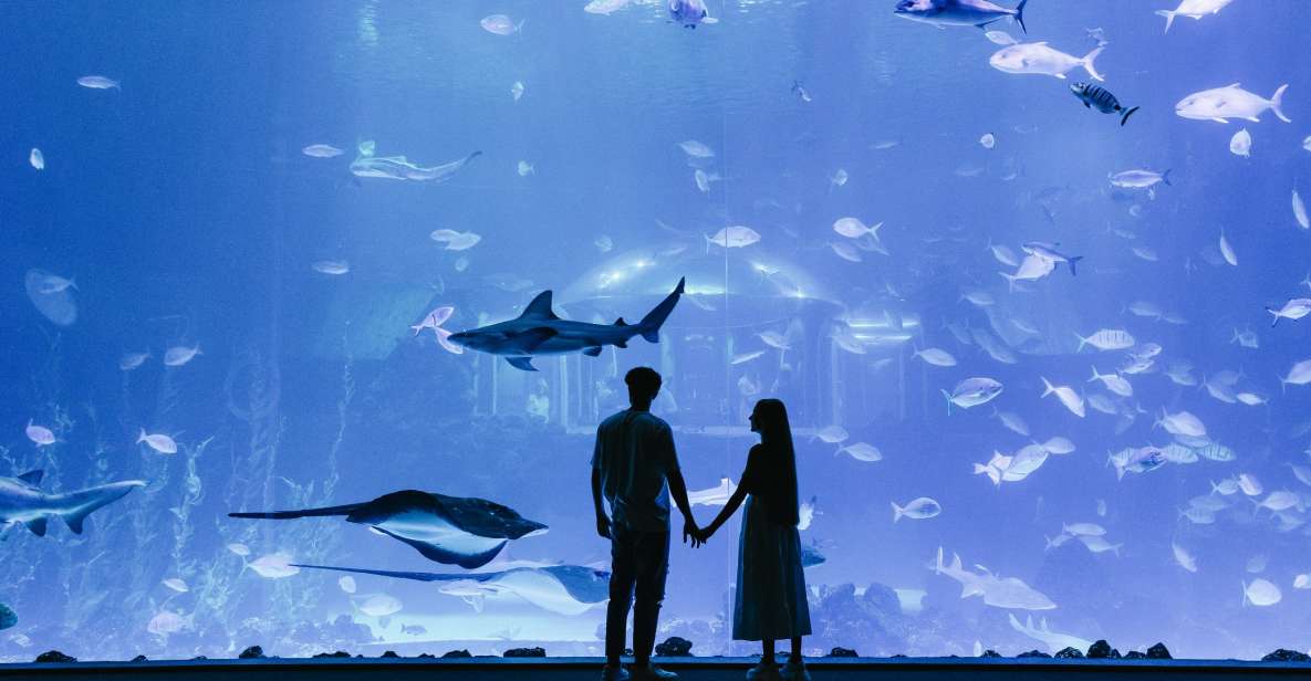 Poema del Mar Skip-the-Line Ticket - Plan your visit: time, pace, and where it fits on your day