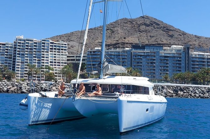 Private 4 hour Catamaran cruise in south coast of Gran Canaria - Key highlights to look for