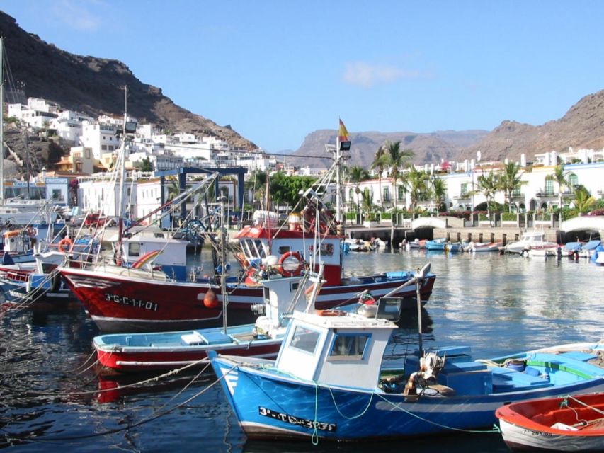 Puerto de Mogan: Friday Market Experience - Who this Friday Market trip is best for