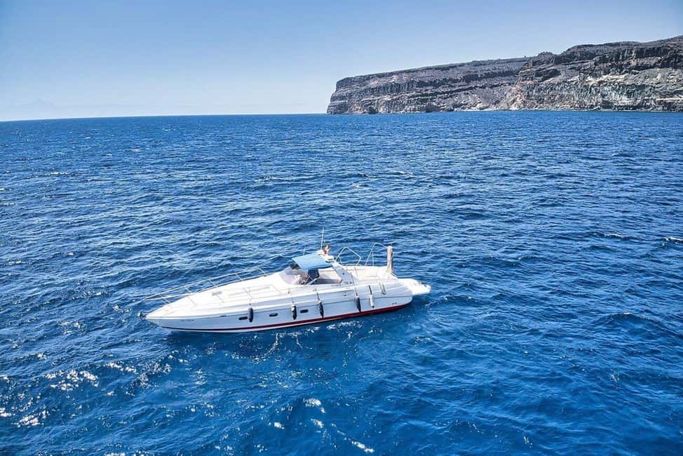 Puerto de Mogán: PRIVATE Yacht for up to 10 persons - Who this private yacht day fits best