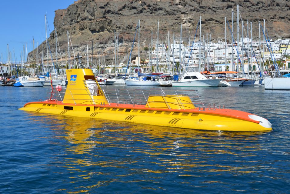 Puerto de Mogán: Submarine Tour - Golden Shark in Puerto de Mogán: what you’re paying for