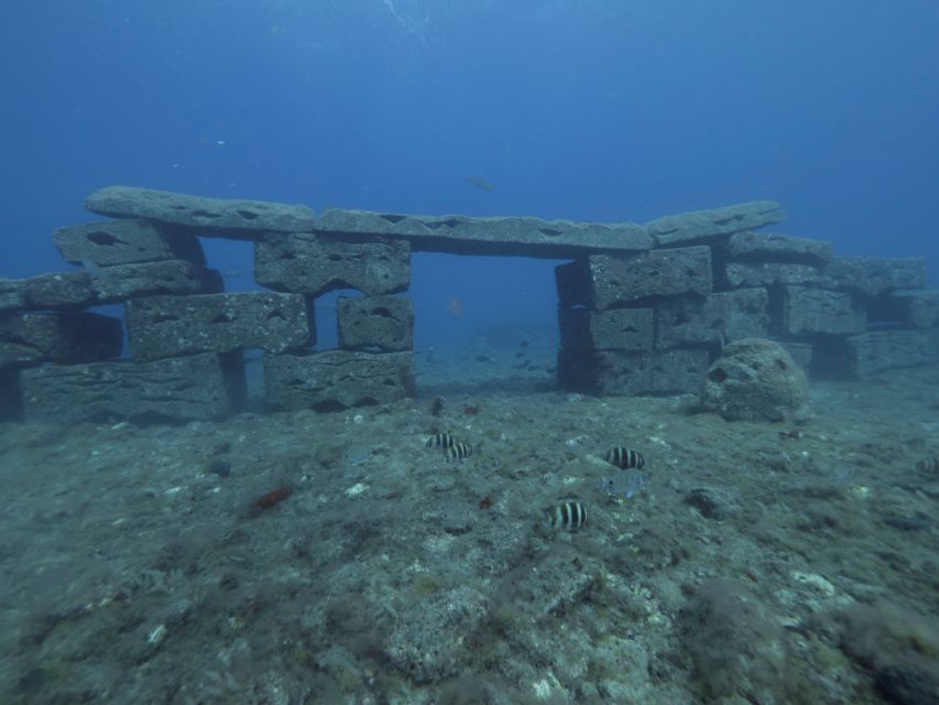 Puerto de Mogán: Submarine Tour - Inside the submarine: TV screens, headphones, and air-conditioned comfort