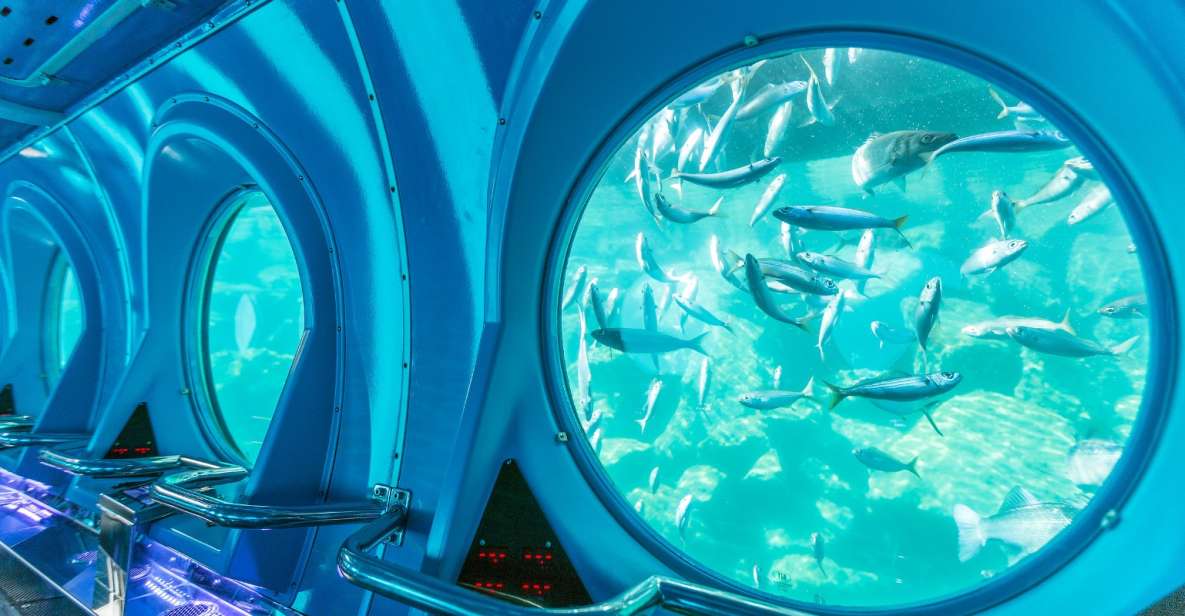 Puerto de Mogán: Submarine Tour - Going down: up to 25 metres with pressure-controlled experience