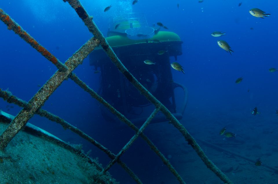Puerto de Mogán: Submarine Tour - What you see underwater: shipwrecks, structures, and Atlantic life