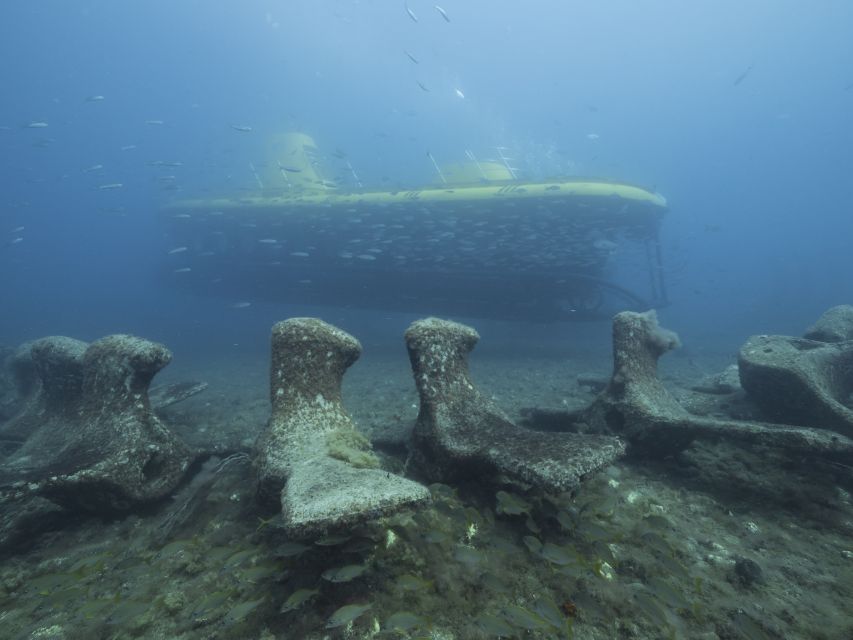 Puerto de Mogán: Submarine Tour - Timing: why 40 minutes feels like the right length
