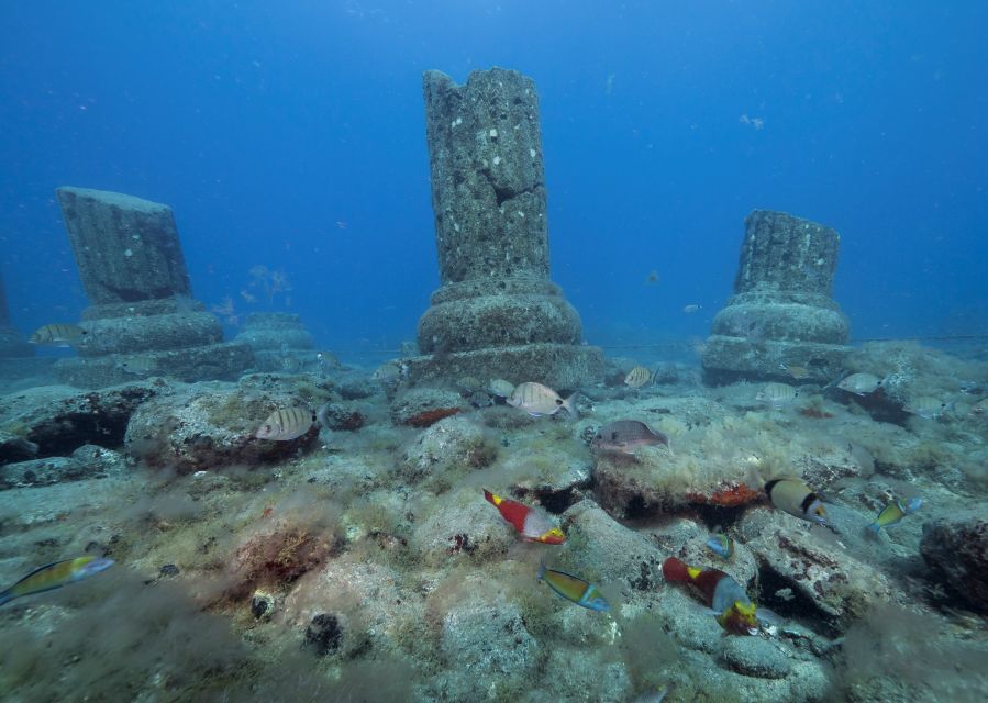 Puerto de Mogán: Submarine Tour - Who should book, and who should think twice