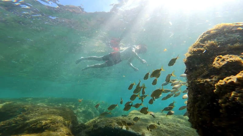 Puerto Mogán: Guided Adventure Kayak Tour in Caves & Snorkel - Kayaking the Volcanic Coast Toward the Mogán Caves