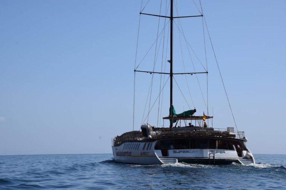 Puerto Rico : 2 hour Dolphin Catamaran Excursion - Key things I’d circle before you go