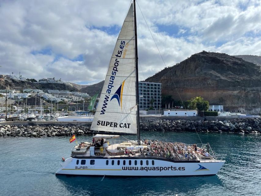 Puerto Rico : 2 hour Dolphin Catamaran Excursion - Practical Tips Before You Go (Simple Stuff That Helps)