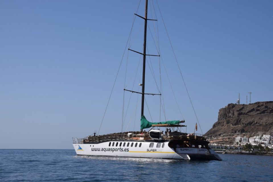 Puerto Rico : 2 hour Dolphin Catamaran Excursion - South Gran Canaria by Catamaran: What the 2 Hours Feels Like
