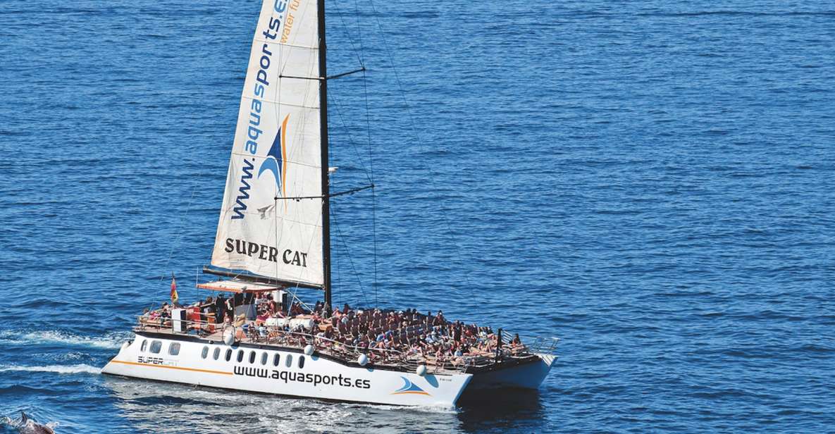 Puerto Rico : 2 hour Dolphin Catamaran Excursion - Wildlife-Spotting Plan: Dolphins, Turtles, Flying Fish, and Whales