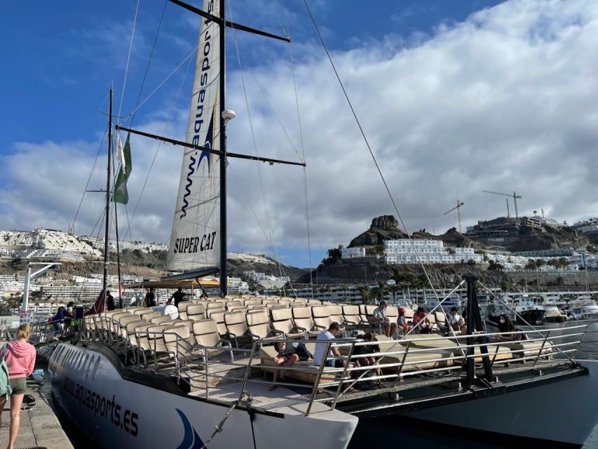 Puerto Rico : 2 hour Dolphin Catamaran Excursion - Onboard Comfort and the Free Soft Drink Bar