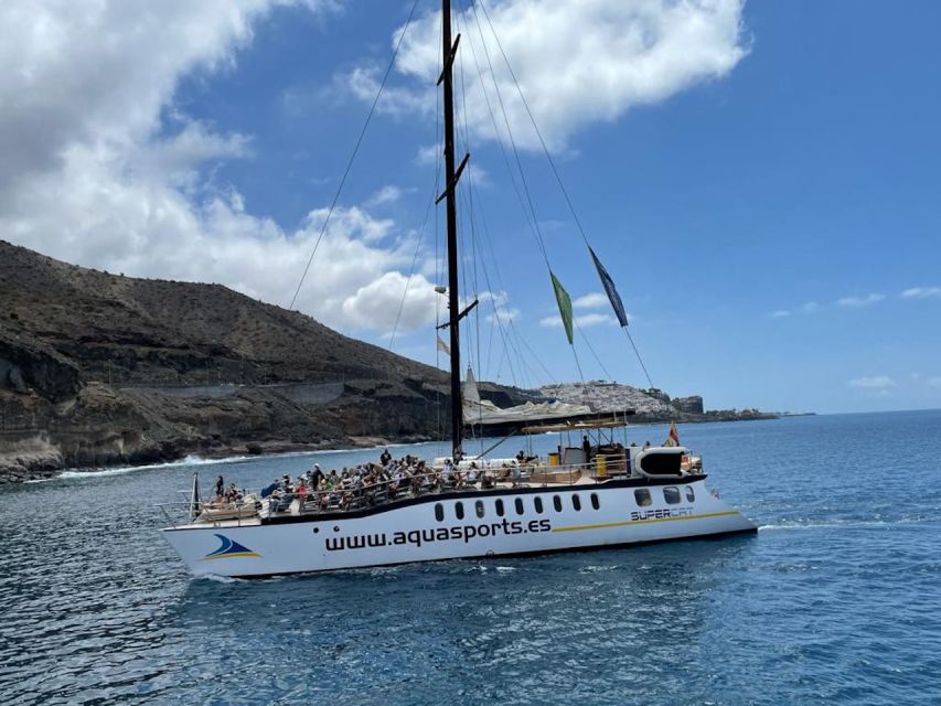 Puerto Rico : 2 hour Dolphin Catamaran Excursion - The Real Itinerary: Boarding, Sailing, Scanning, and Coming Back