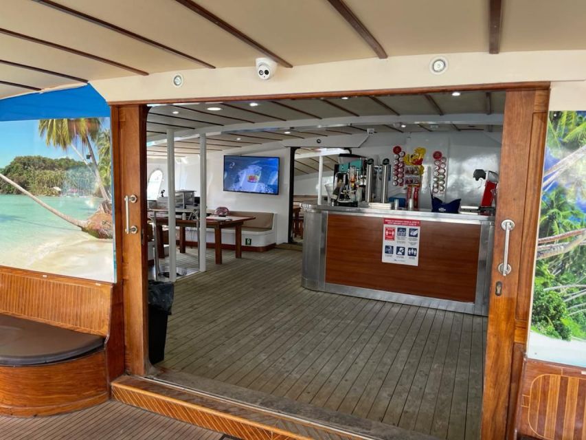Puerto Rico : 2 hour Dolphin Catamaran Excursion - Language on Board: Spanish and English Guidance