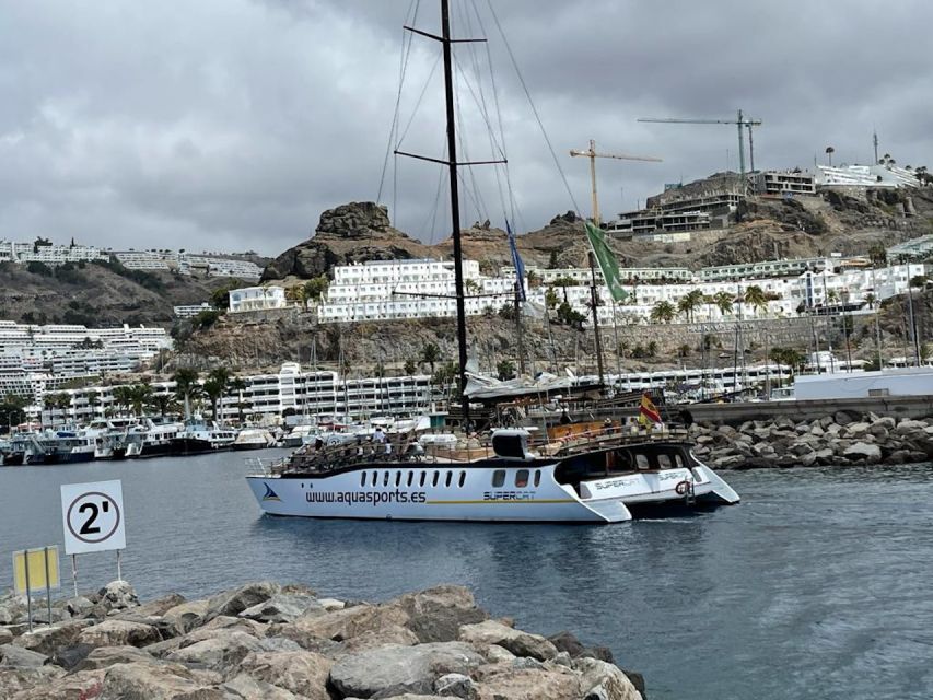 Puerto Rico : 2 hour Dolphin Catamaran Excursion - Price and Value: Is $41 for Two Hours a Smart Use of Time?