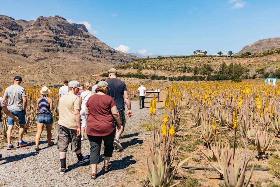South Gran Canaria: Off-Road Valleys & Villages Jeep Tour - Why the South of Gran Canaria feels wilder on a jeep
