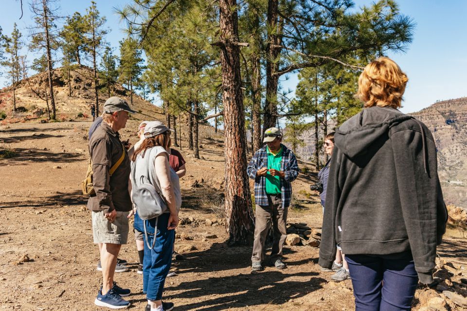 South Gran Canaria: Off-Road Valleys & Villages Jeep Tour - Maspalomas photo stop and Roque Noblo views: the route’s first wow moment