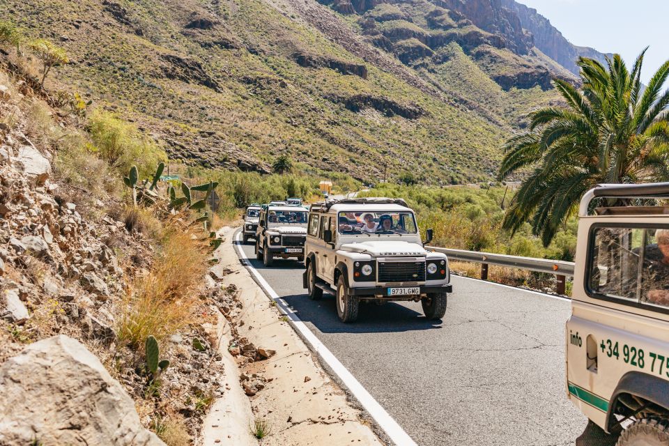 South Gran Canaria: Off-Road Valleys & Villages Jeep Tour - Valley of the Thousand Palms and Fataga: villages meet water-powered greenery