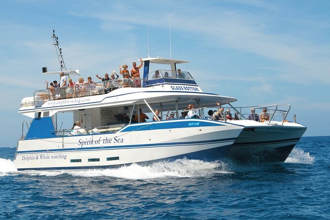 Spirit of the Sea: Cetacean sighting in Gran Canaria - Who This Tour Fits Best (and Who Should Rethink It)