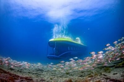 SUBMARINE ADVENTURE - Submarine Excursion in Puerto de Mogán - La Atlántida artificial reef park: the science behind the scenery