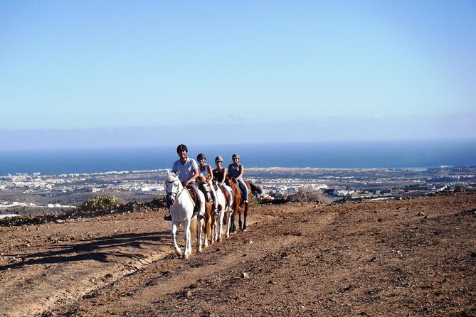 The Best Horse Riding Experience in Gran Canaria (2 hours) - Key things you will notice