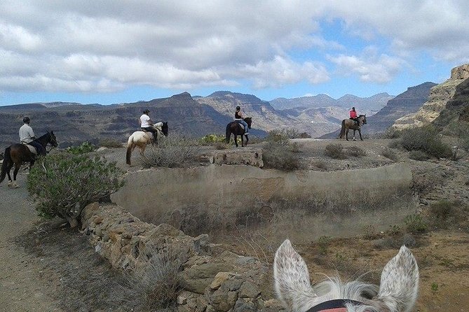 The Best Horse Riding Experience in Gran Canaria (2 hours) - The setting: El Salobre and the views above Maspalomas