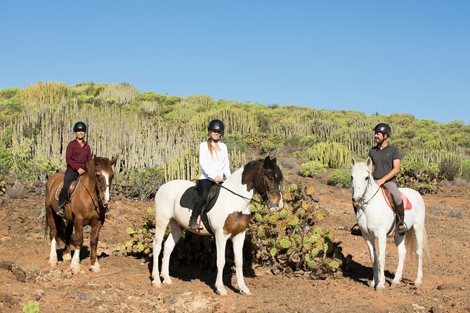 The Best Horse Riding Experience in Gran Canaria (2 hours) - Getting there: hotel pickup, meeting point, and timing