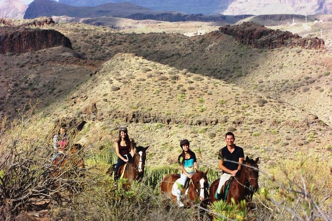 The Best Horse Riding Experience in Gran Canaria (2 hours) - Terrain and horse comfort: rocky paths, sure-footed steps