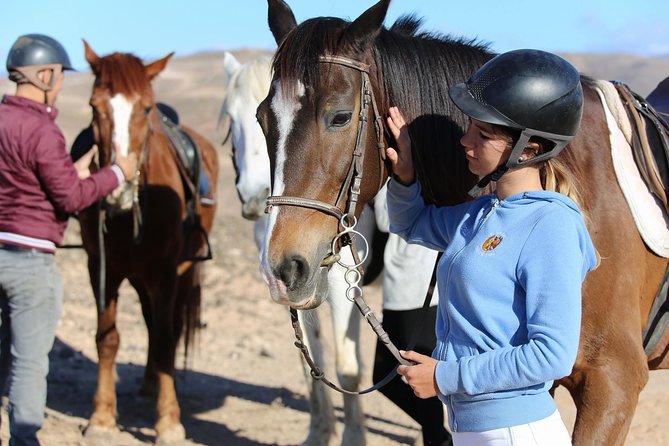 The Best Horse Riding Experience in Gran Canaria (2 hours) - Price and value: what you get for about $67.75